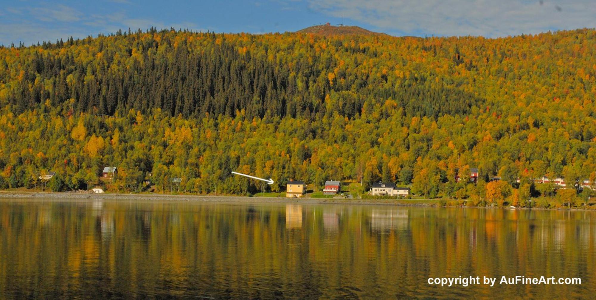 Eternus Paradise Tärnaby Eksteriør bilde